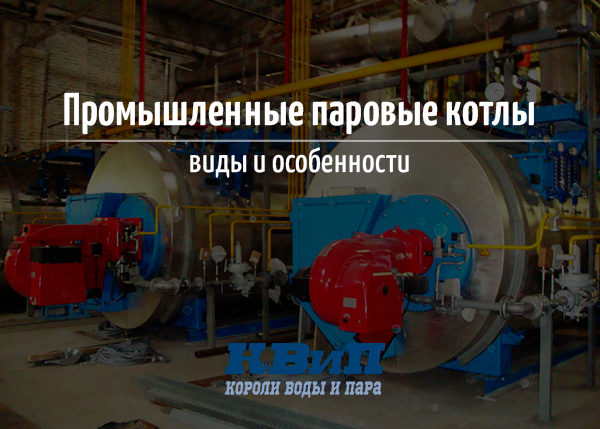 Промышленные паровые котлы виды и особенности Промышленные паровые котлы виды и особенности