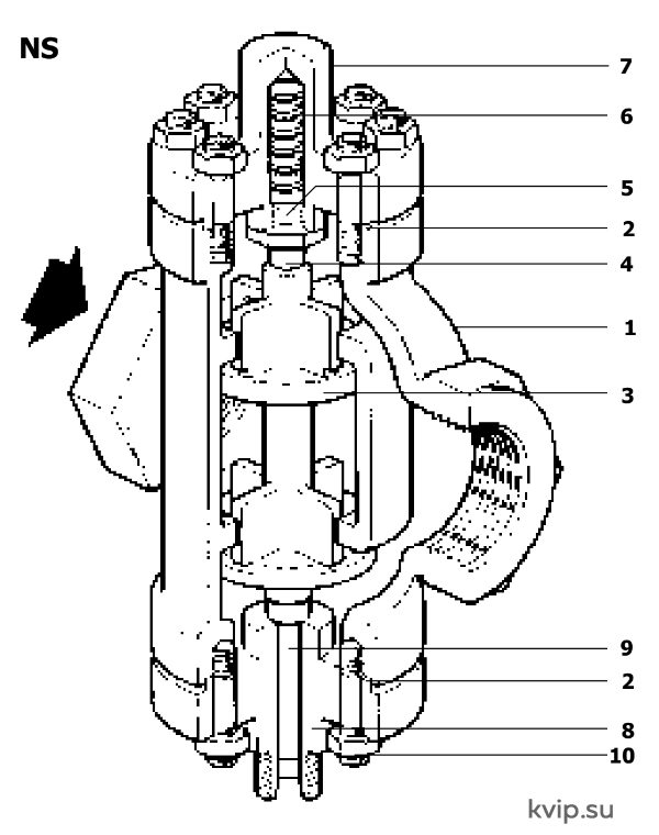 NS_1