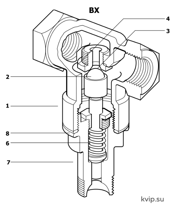 BX_1 BX_1